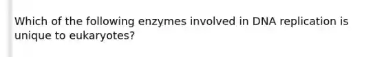 Which of the following enzymes involved in DNA replication is unique to eukaryotes?