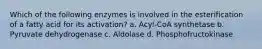 Which of the following enzymes is involved in the esterification of a fatty acid for its activation? a. Acyl-CoA synthetase b. Pyruvate dehydrogenase c. Aldolase d. Phosphofructokinase