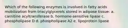 Which of the following enzymes is involved in fatty acids mobilization from triacylglycerols stored in adipose tissue: a. carnitine acyltransferase b. hormone-sensitive lipase c. phospholipase D d. phospholipase A2 e. lipoprotein lipase