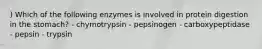 ) Which of the following enzymes is involved in protein digestion in the stomach? - chymotrypsin - pepsinogen - carboxypeptidase - pepsin - trypsin