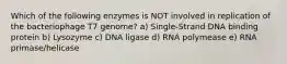 Which of the following enzymes is NOT involved in replication of the bacteriophage T7 genome? a) Single-Strand DNA binding protein b) Lysozyme c) DNA ligase d) RNA polymease e) RNA primase/helicase