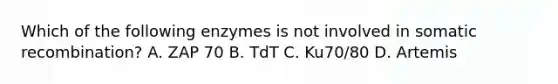 Which of the following enzymes is not involved in somatic recombination? A. ZAP 70 B. TdT C. Ku70/80 D. Artemis