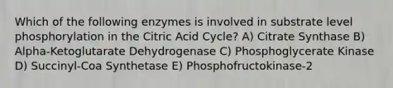 Which of the following enzymes is involved in substrate level phosphorylation in the Citric Acid Cycle? A) Citrate Synthase B) Alpha-Ketoglutarate Dehydrogenase C) Phosphoglycerate Kinase D) Succinyl-Coa Synthetase E) Phosphofructokinase-2