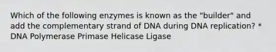 Which of the following enzymes is known as the "builder" and add the complementary strand of DNA during DNA replication? * DNA Polymerase Primase Helicase Ligase