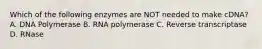 Which of the following enzymes are NOT needed to make cDNA? A. DNA Polymerase B. RNA polymerase C. Reverse transcriptase D. RNase