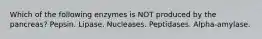 Which of the following enzymes is NOT produced by the pancreas? Pepsin. Lipase. Nucleases. Peptidases. Alpha-amylase.