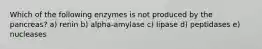 Which of the following enzymes is not produced by the pancreas? a) renin b) alpha-amylase c) lipase d) peptidases e) nucleases