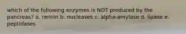 which of the following enzymes is NOT produced by the pancreas? a. rennin b. nucleases c. alpha-amylase d. lipase e. peptidases