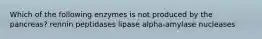 Which of the following enzymes is not produced by the pancreas? rennin peptidases lipase alpha-amylase nucleases
