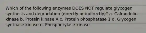 Which of the following enzymes DOES NOT regulate glycogen synthesis and degradation (directly or indirectly)? a. Calmodulin kinase b. Protein kinase A c. Protein phosphatase 1 d. Glycogen synthase kinase e. Phosphorylase kinase