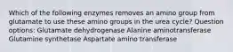 Which of the following enzymes removes an amino group from glutamate to use these amino groups in the urea cycle? Question options: Glutamate dehydrogenase Alanine aminotransferase Glutamine synthetase Aspartate amino transferase