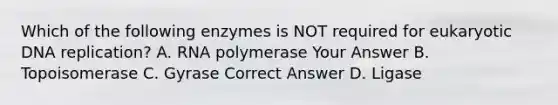 Which of the following enzymes is NOT required for eukaryotic DNA replication? A. RNA polymerase Your Answer B. Topoisomerase C. Gyrase Correct Answer D. Ligase