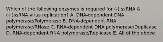 Which of the following enzymes is required for (-) ssRNA &(+)ssRNA virus replication? A. DNA-dependent DNA polymerase/Polymerase B. DNA-dependent RNA polymerase/RNase C. RNA-dependent DNA polymerase/Duplicase D. RNA-dependent RNA polymerase/Replicase E. All of the above