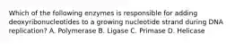 Which of the following enzymes is responsible for adding deoxyribonucleotides to a growing nucleotide strand during DNA replication? A. Polymerase B. Ligase C. Primase D. Helicase