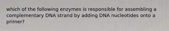 which of the following enzymes is responsible for assembling a complementary DNA strand by adding DNA nucleotides onto a primer?