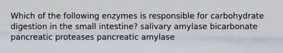 Which of the following enzymes is responsible for carbohydrate digestion in the small intestine? salivary amylase bicarbonate pancreatic proteases pancreatic amylase