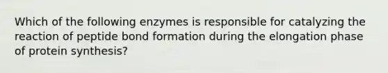 Which of the following enzymes is responsible for catalyzing the reaction of peptide bond formation during the elongation phase of protein synthesis?