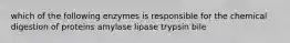 which of the following enzymes is responsible for the chemical digestion of proteins amylase lipase trypsin bile