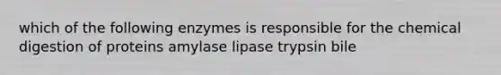 which of the following enzymes is responsible for the chemical digestion of proteins amylase lipase trypsin bile