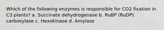 Which of the following enzymes is responsible for CO2 fixation in C3 plants? a. Succinate dehydrogenase b. RuBP (RuDP) carboxylase c. Hexokinase d. Amylase