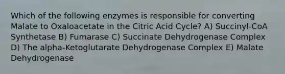 Which of the following enzymes is responsible for converting Malate to Oxaloacetate in the Citric Acid Cycle? A) Succinyl-CoA Synthetase B) Fumarase C) Succinate Dehydrogenase Complex D) The alpha-Ketoglutarate Dehydrogenase Complex E) Malate Dehydrogenase