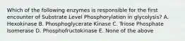 Which of the following enzymes is responsible for the first encounter of Substrate Level Phosphorylation in glycolysis? A. Hexokinase B. Phosphoglycerate Kinase C. Triose Phosphate Isomerase D. Phosphofructokinase E. None of the above