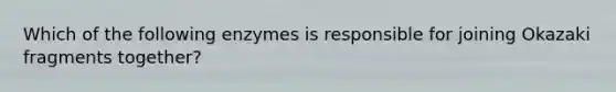 Which of the following enzymes is responsible for joining Okazaki fragments together?