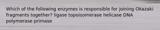 Which of the following enzymes is responsible for joining Okazaki fragments together? ligase topoisomerase helicase DNA polymerase primase