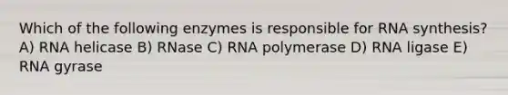 Which of the following enzymes is responsible for RNA synthesis? A) RNA helicase B) RNase C) RNA polymerase D) RNA ligase E) RNA gyrase