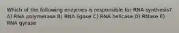 Which of the following enzymes is responsible for RNA synthesis? A) RNA polymerase B) RNA ligase C) RNA helicase D) RNase E) RNA gyrase