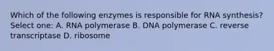 Which of the following enzymes is responsible for RNA synthesis? Select one: A. RNA polymerase B. DNA polymerase C. reverse transcriptase D. ribosome