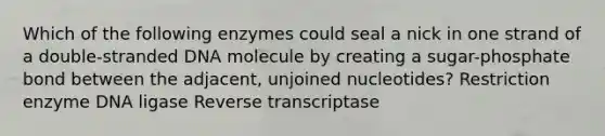 Which of the following enzymes could seal a nick in one strand of a double-stranded DNA molecule by creating a sugar-phosphate bond between the adjacent, unjoined nucleotides? Restriction enzyme DNA ligase Reverse transcriptase