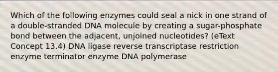 Which of the following enzymes could seal a nick in one strand of a double-stranded DNA molecule by creating a sugar-phosphate bond between the adjacent, unjoined nucleotides? (eText Concept 13.4) DNA ligase reverse transcriptase restriction enzyme terminator enzyme DNA polymerase