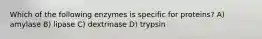 Which of the following enzymes is specific for proteins? A) amylase B) lipase C) dextrinase D) trypsin