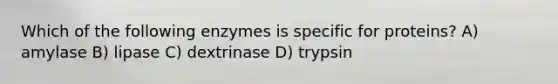 Which of the following enzymes is specific for proteins? A) amylase B) lipase C) dextrinase D) trypsin