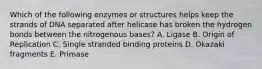 Which of the following enzymes or structures helps keep the strands of DNA separated after helicase has broken the hydrogen bonds between the nitrogenous bases? A. Ligase B. Origin of Replication C. Single stranded binding proteins D. Okazaki fragments E. Primase