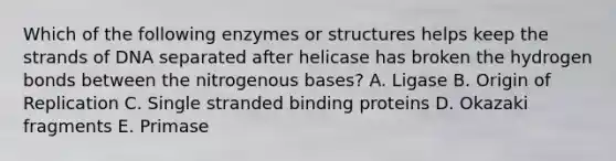 Which of the following enzymes or structures helps keep the strands of DNA separated after helicase has broken the hydrogen bonds between the nitrogenous bases? A. Ligase B. Origin of Replication C. Single stranded binding proteins D. Okazaki fragments E. Primase