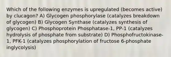 Which of the following enzymes is upregulated (becomes active) by clucagon? A) Glycogen phosphorylase (catalyzes breakdown of glycogen) B) Glycogen Synthase (catalyzes synthesis of glycogen) C) Phosphoprotein Phosphatase-1, PP-1 (catalyzes hydrolysis of phosphate from substrate) D) Phosphofructokinase-1, PFK-1 (catalyzes phosphorylation of fructose 6-phosphate inglycolysis)