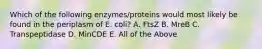 Which of the following enzymes/proteins would most likely be found in the periplasm of E. coli? A. FtsZ B. MreB C. Transpeptidase D. MinCDE E. All of the Above