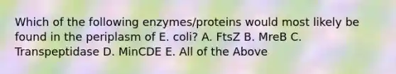 Which of the following enzymes/proteins would most likely be found in the periplasm of E. coli? A. FtsZ B. MreB C. Transpeptidase D. MinCDE E. All of the Above