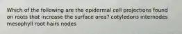 Which of the following are the epidermal cell projections found on roots that increase the surface area? cotyledons internodes mesophyll root hairs nodes