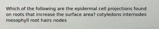 Which of the following are the epidermal cell projections found on roots that increase the surface area? cotyledons internodes mesophyll root hairs nodes