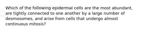 Which of the following epidermal cells are the most abundant, are tightly connected to one another by a large number of desmosomes, and arise from cells that undergo almost continuous mitosis?