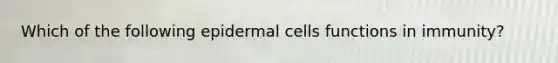 Which of the following epidermal cells functions in immunity?