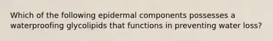 Which of the following epidermal components possesses a waterproofing glycolipids that functions in preventing water loss?