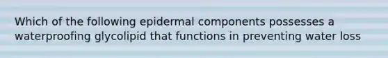 Which of the following epidermal components possesses a waterproofing glycolipid that functions in preventing water loss