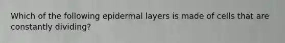 Which of the following epidermal layers is made of cells that are constantly dividing?