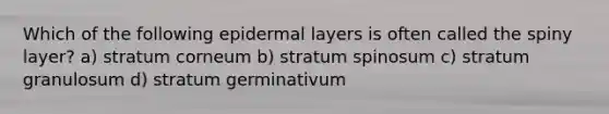 Which of the following epidermal layers is often called the spiny layer? a) stratum corneum b) stratum spinosum c) stratum granulosum d) stratum germinativum