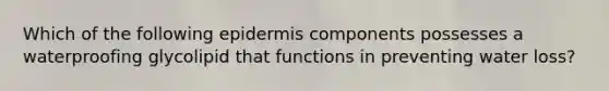 Which of the following epidermis components possesses a waterproofing glycolipid that functions in preventing water loss?