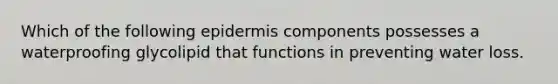 Which of the following epidermis components possesses a waterproofing glycolipid that functions in preventing water loss.